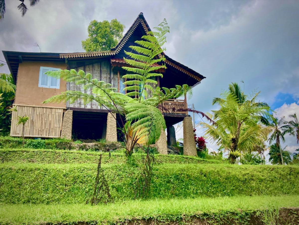 D'Ume Bendoel Homestay Jatiluwih Exterior photo