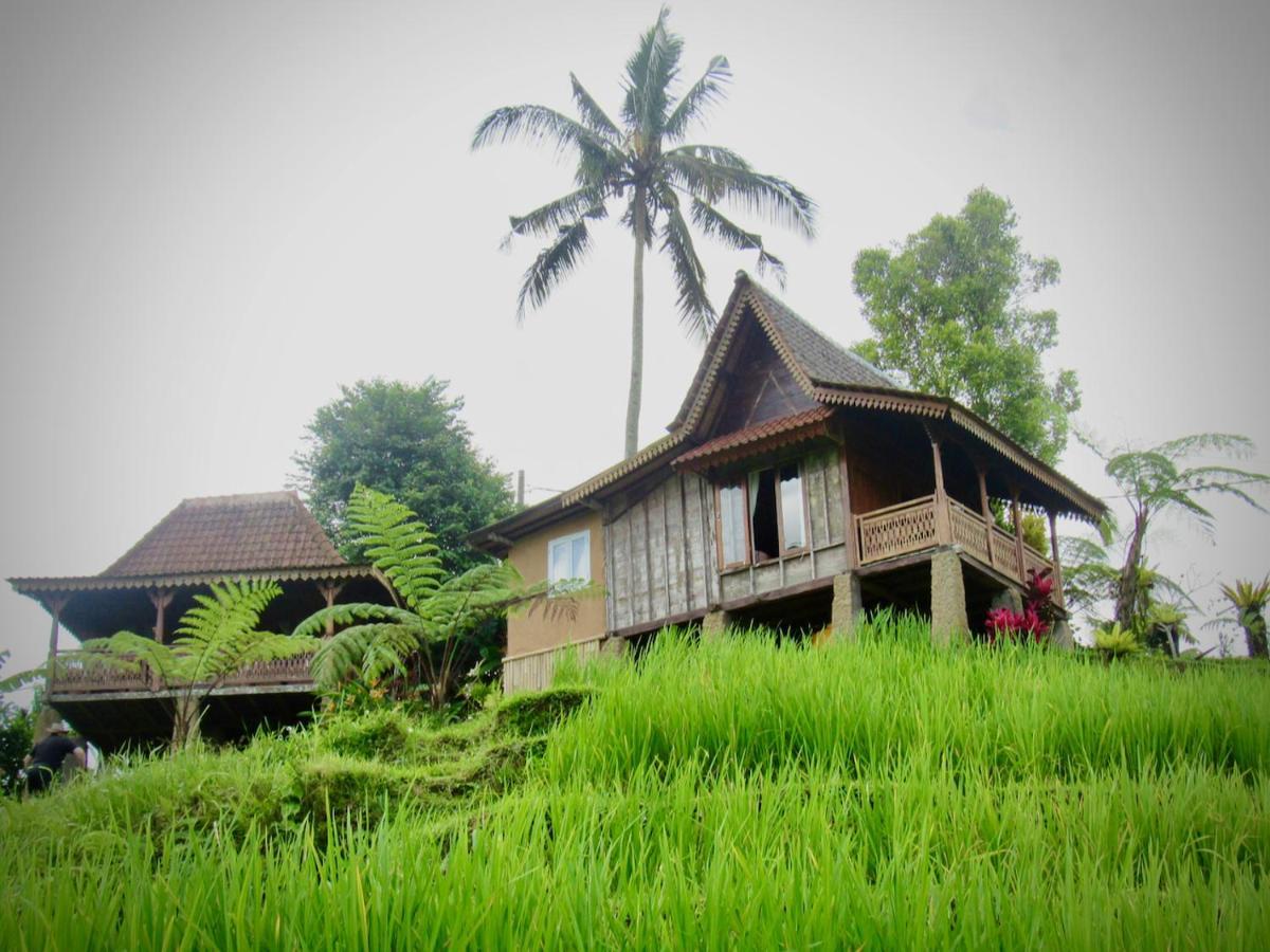 D'Ume Bendoel Homestay Jatiluwih Exterior photo