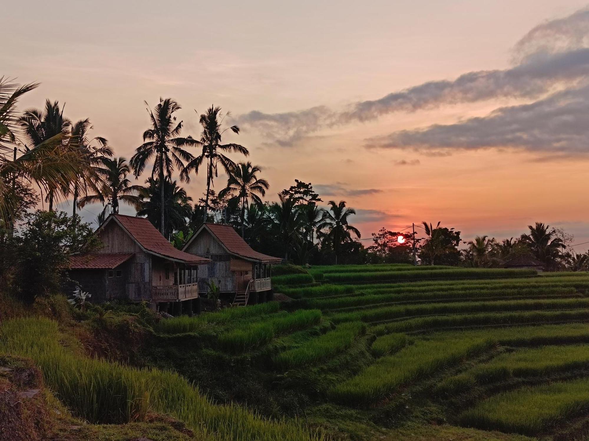 D'Ume Bendoel Homestay Jatiluwih Exterior photo