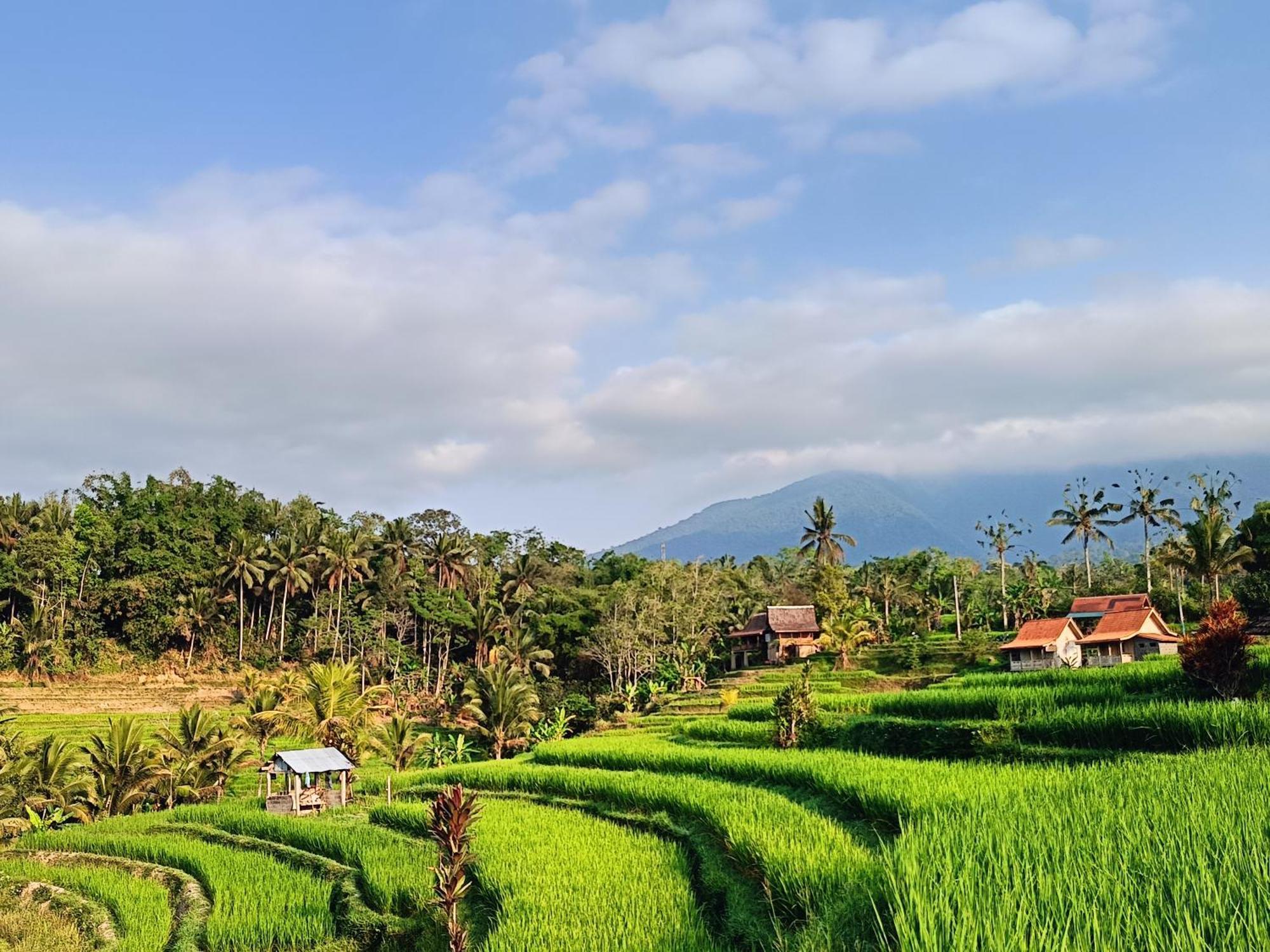 D'Ume Bendoel Homestay Jatiluwih Exterior photo