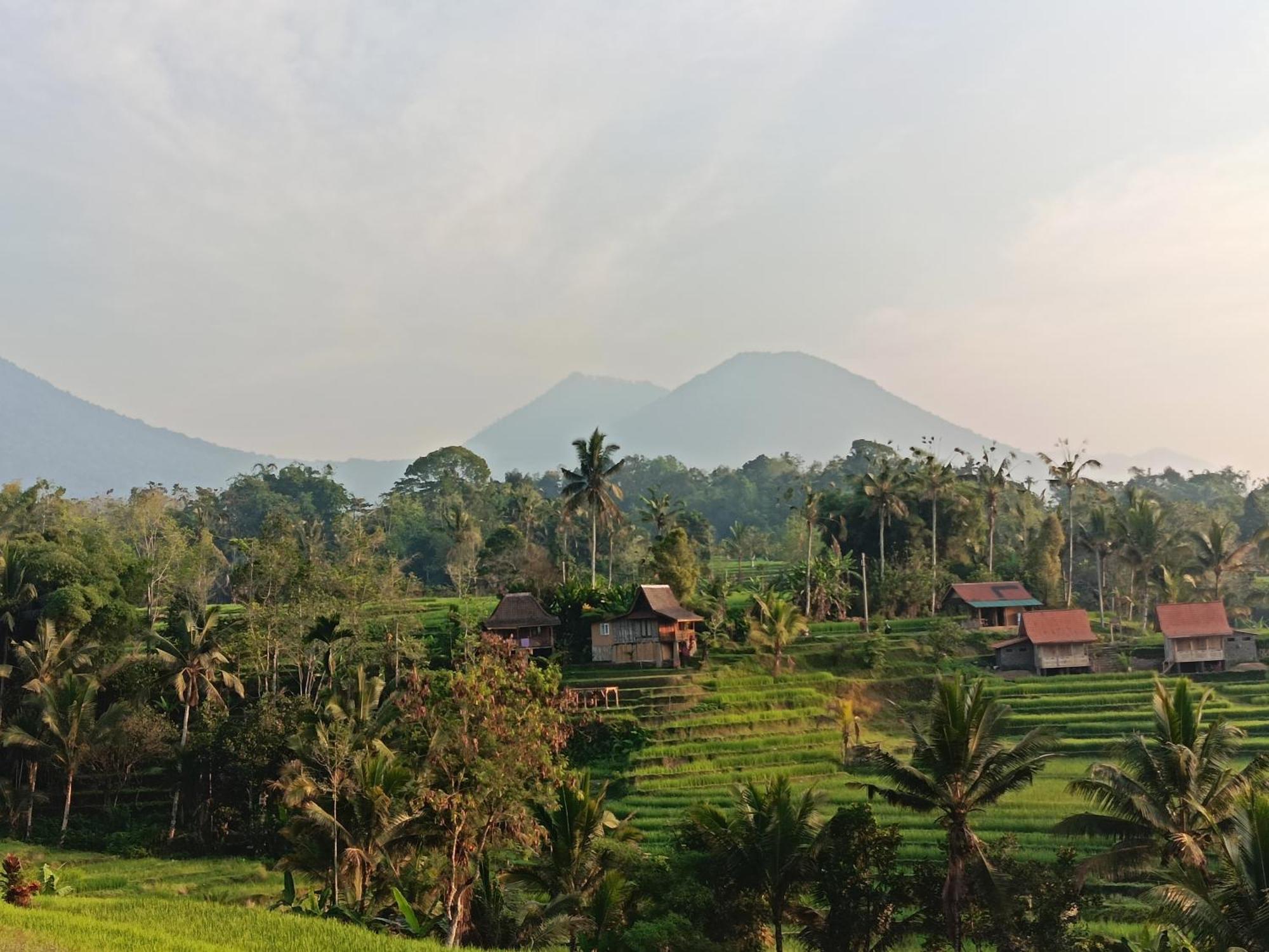 D'Ume Bendoel Homestay Jatiluwih Exterior photo