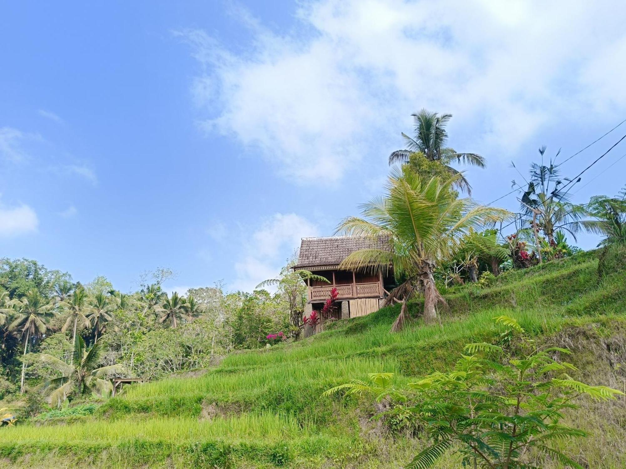 D'Ume Bendoel Homestay Jatiluwih Exterior photo