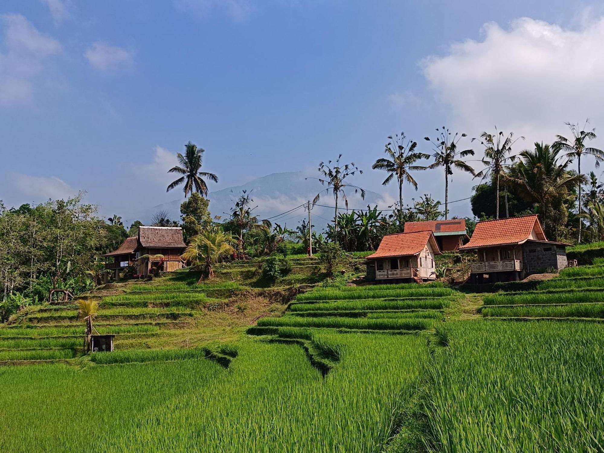 D'Ume Bendoel Homestay Jatiluwih Exterior photo