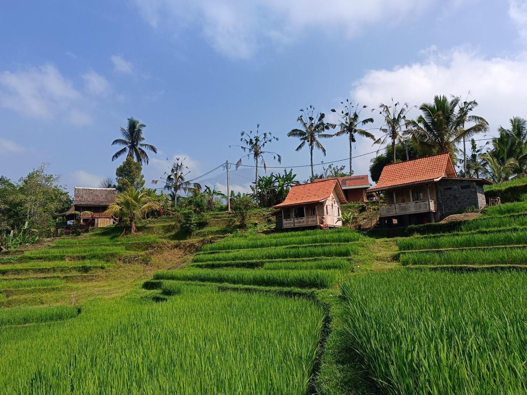 D'Ume Bendoel Homestay Jatiluwih Exterior photo