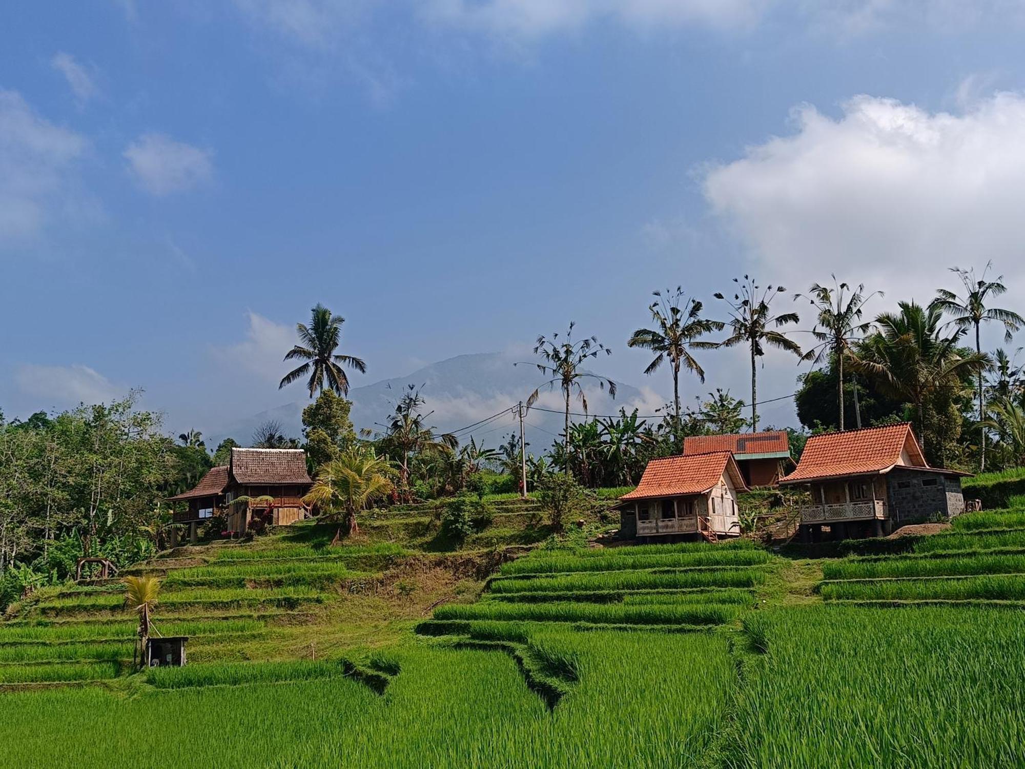 D'Ume Bendoel Homestay Jatiluwih Exterior photo