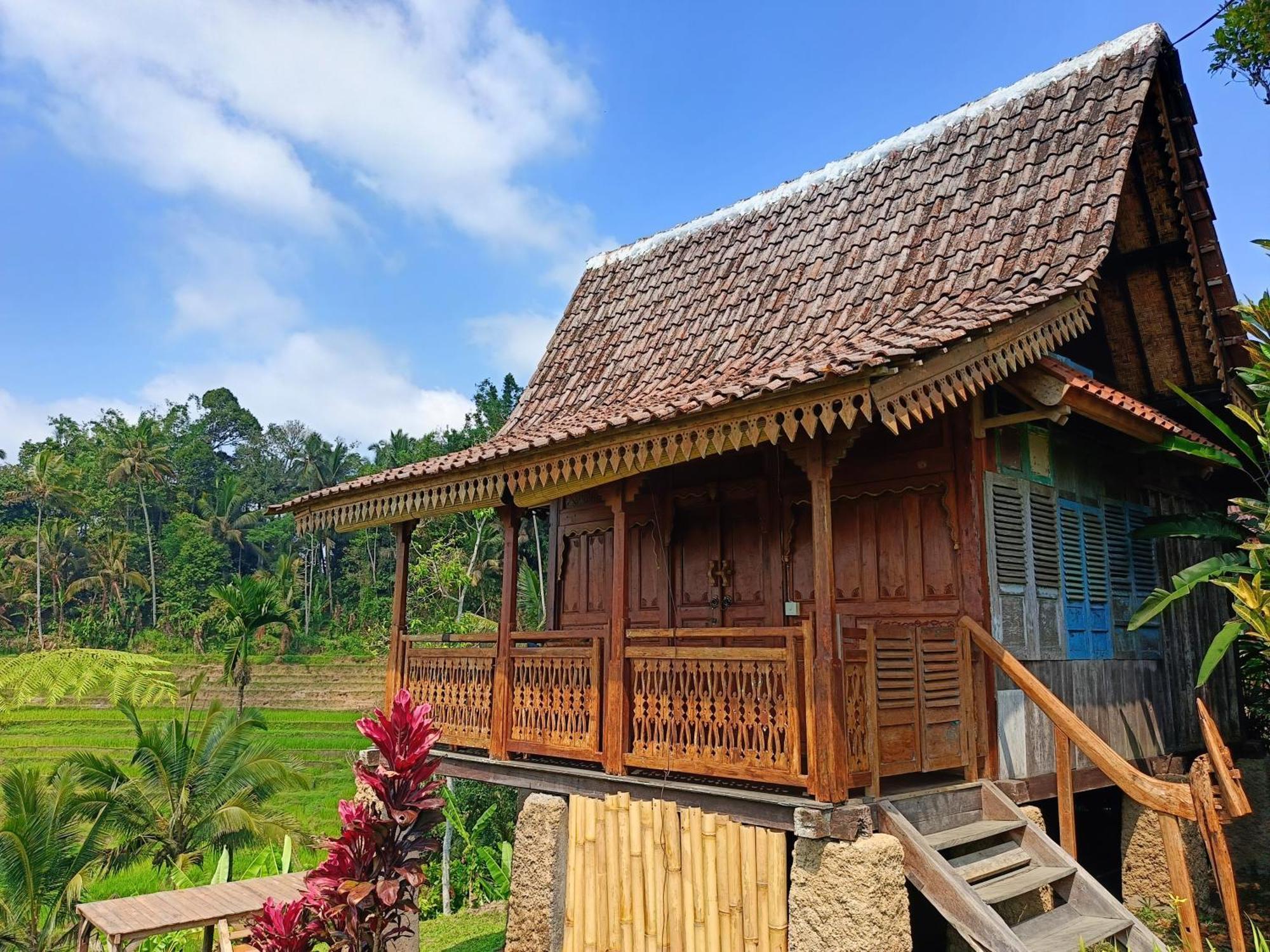 D'Ume Bendoel Homestay Jatiluwih Exterior photo
