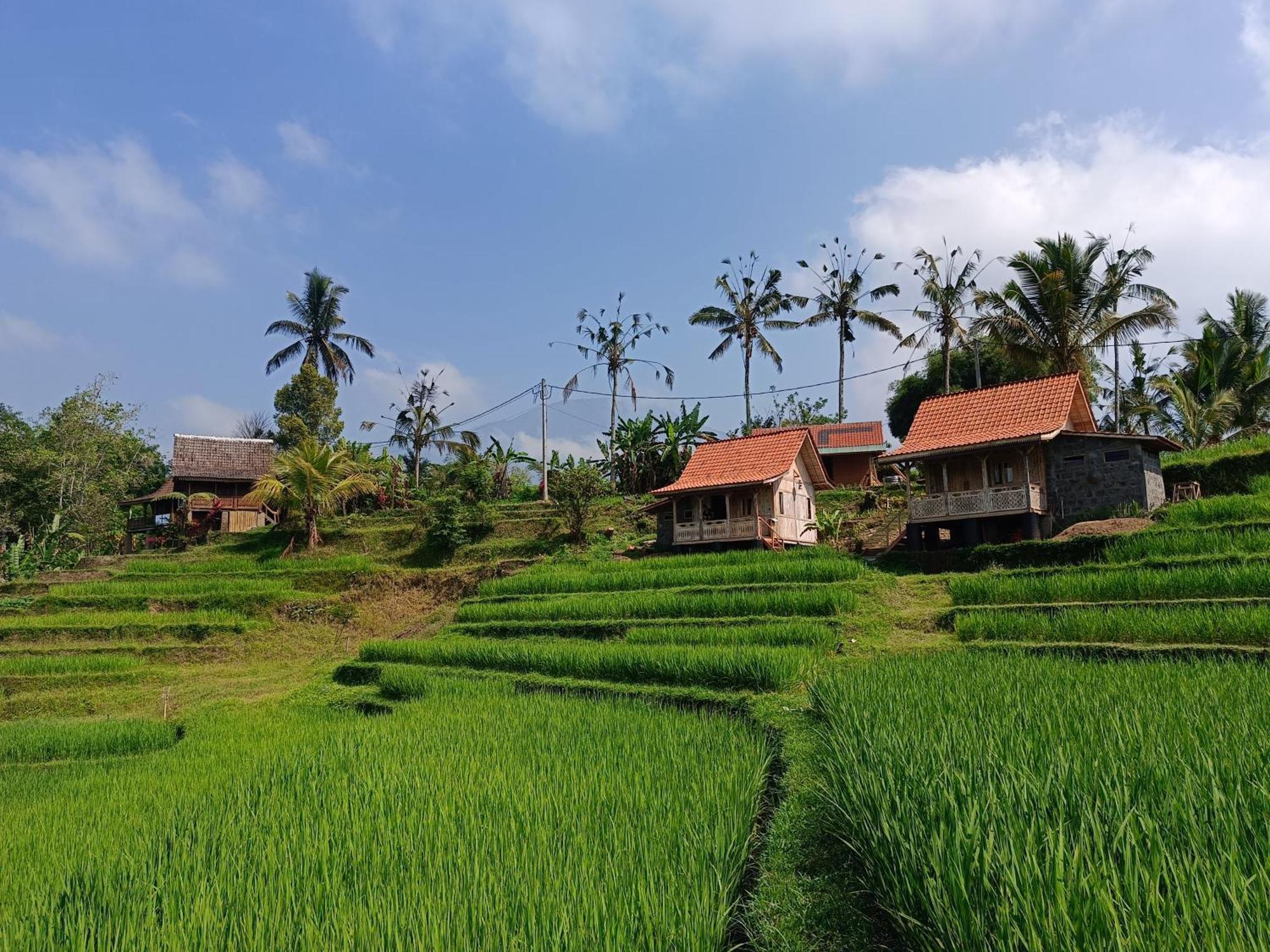 D'Ume Bendoel Homestay Jatiluwih Exterior photo