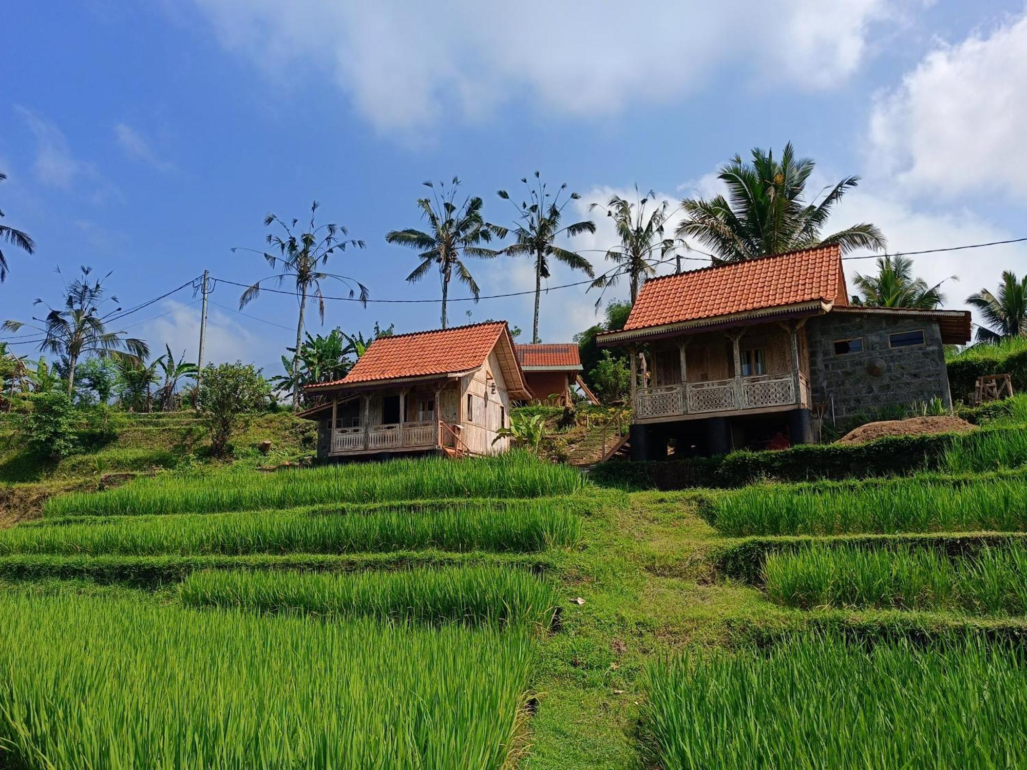 D'Ume Bendoel Homestay Jatiluwih Exterior photo