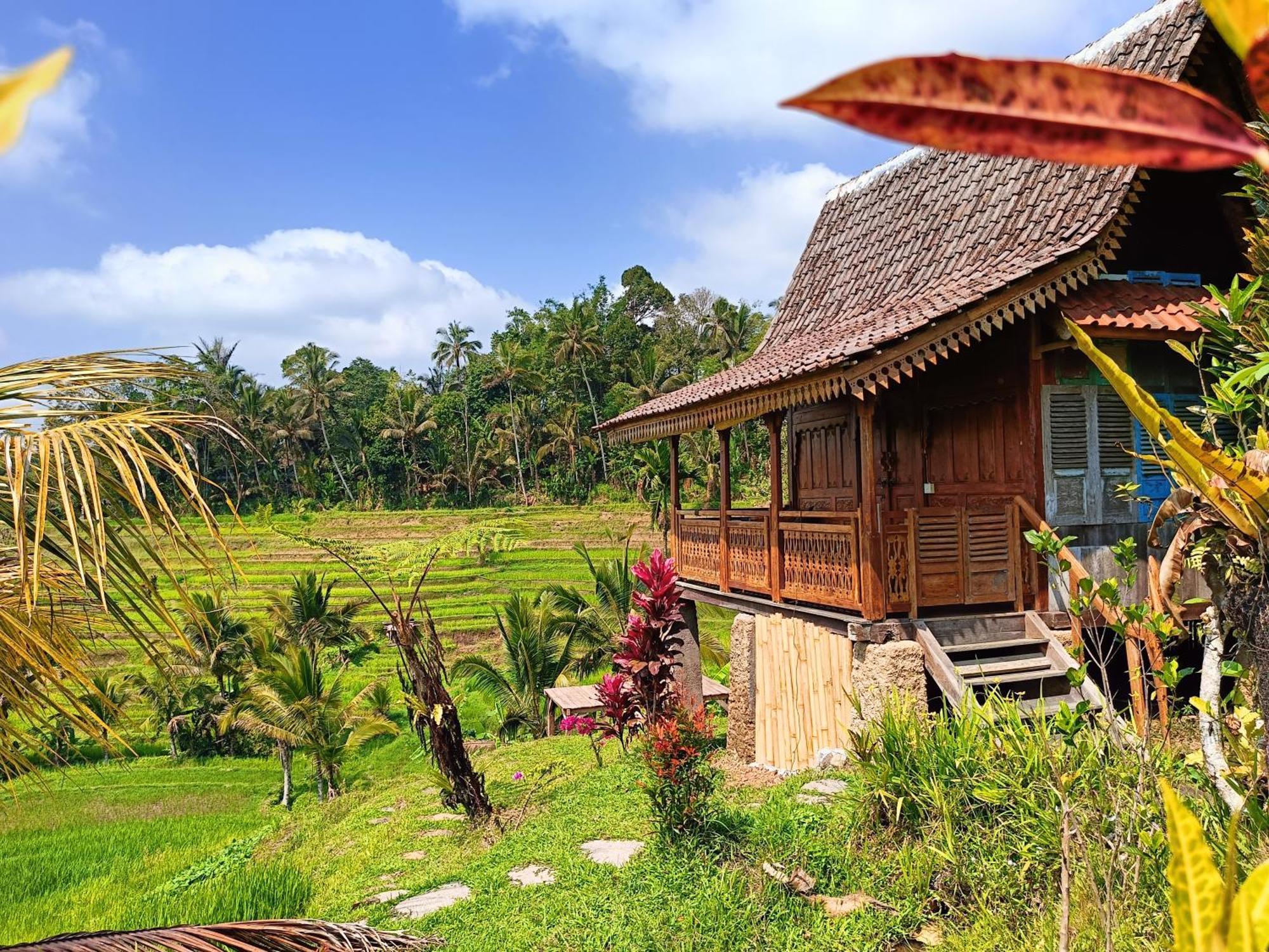 D'Ume Bendoel Homestay Jatiluwih Exterior photo