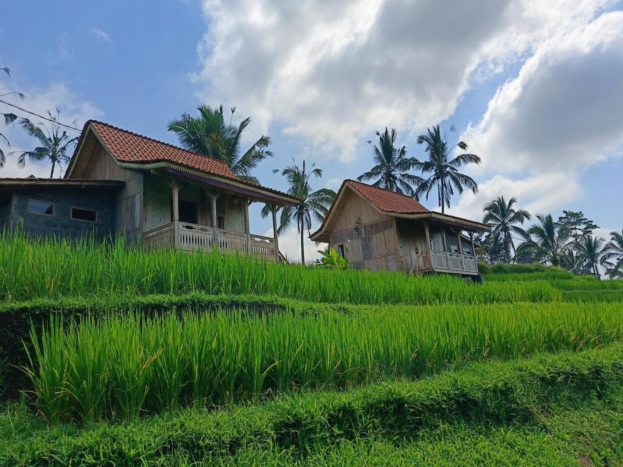 D'Ume Bendoel Homestay Jatiluwih Exterior photo