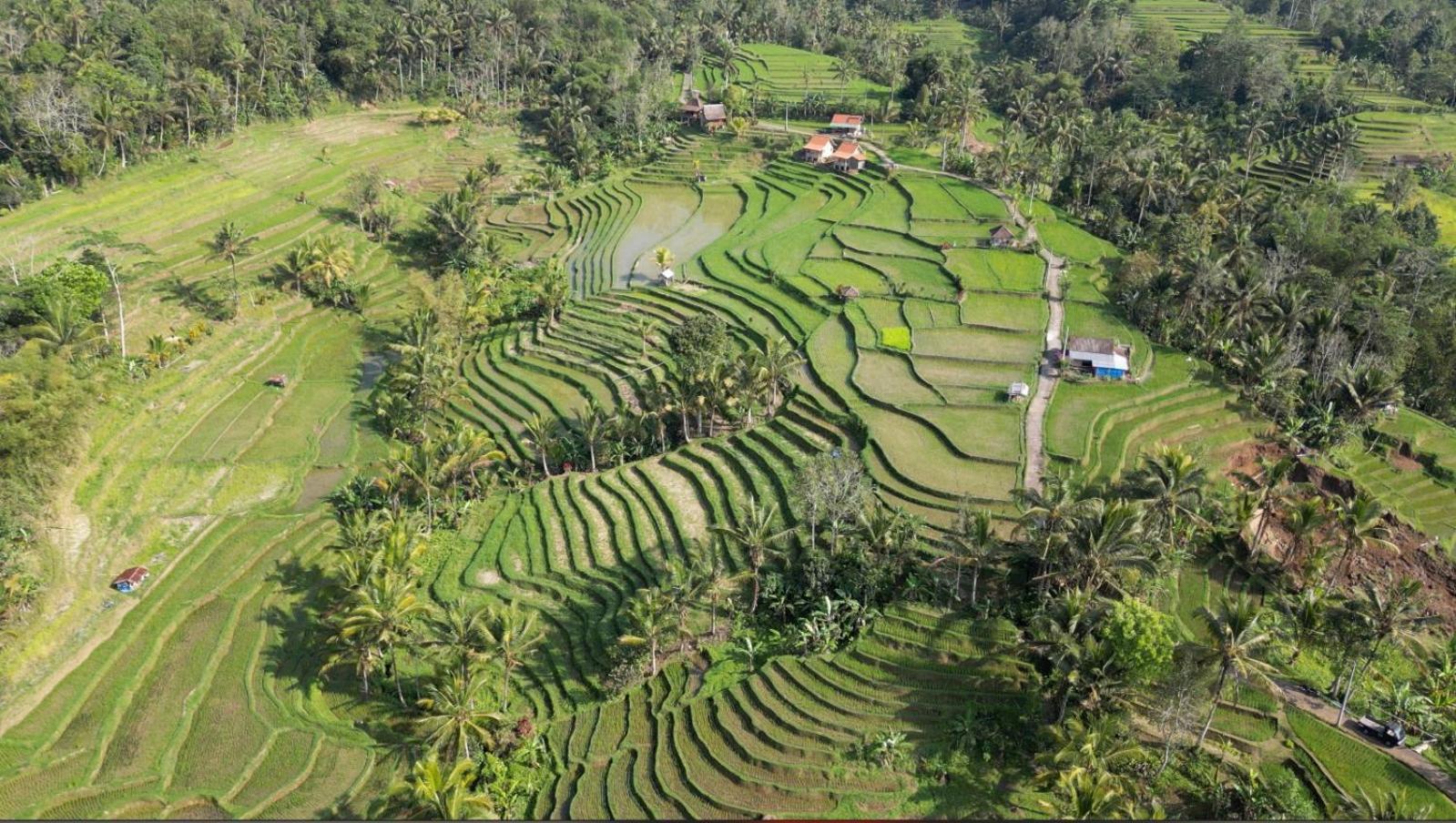 D'Ume Bendoel Homestay Jatiluwih Exterior photo