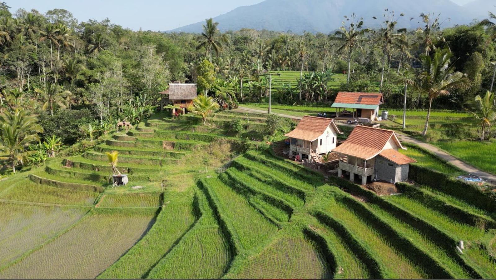 D'Ume Bendoel Homestay Jatiluwih Exterior photo