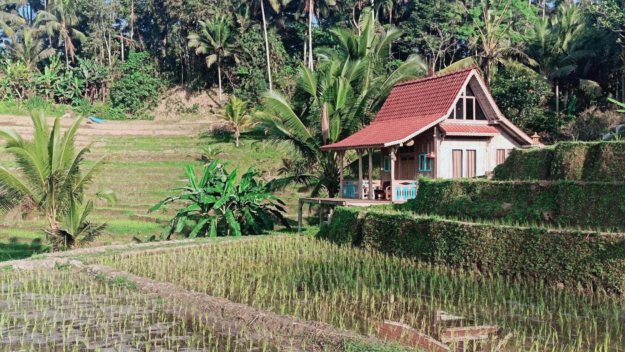 D'Ume Bendoel Homestay Jatiluwih Room photo
