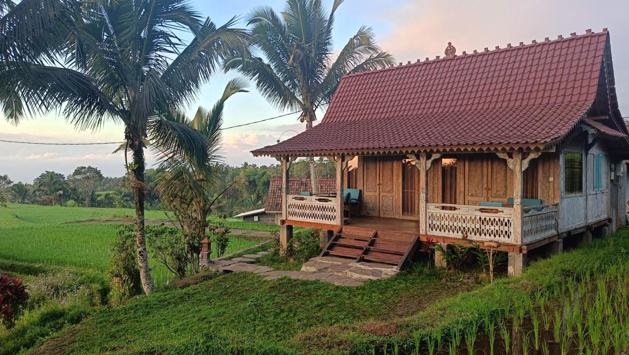 D'Ume Bendoel Homestay Jatiluwih Exterior photo