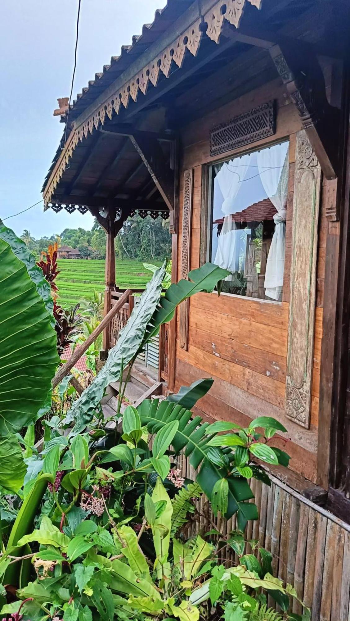 D'Ume Bendoel Homestay Jatiluwih Exterior photo